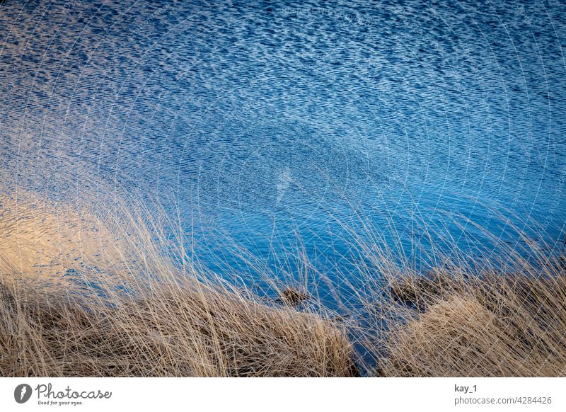 Shore with sky reflection in water and rippling waves Structures and shapes Water texture Lake Nature Pattern Environment Blue Reflection Abstract Pond Cold