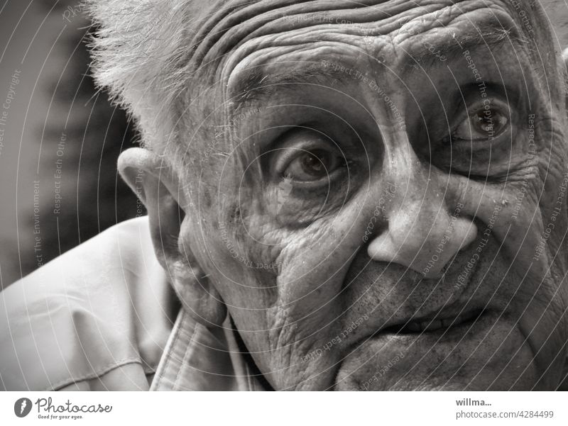 very old and mentally fit Old man portrait wrinkle crease Face tell life experience geriatric B/W Ask full of worries age Pensioners 80 85 90 Hope Belief listen