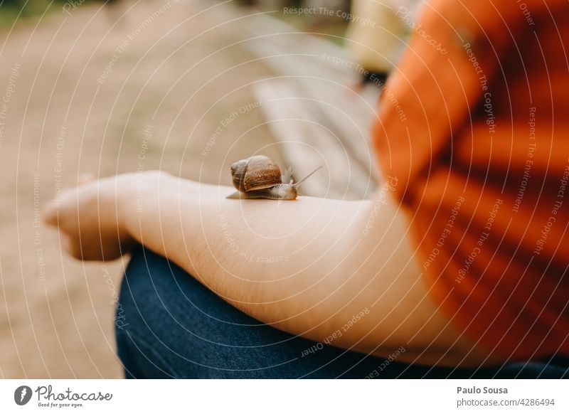 Snail crawling on woman arm Snail shell Arm Slimy Mollusk Animal Feeler Slowly Crawl Nature Close-up Colour photo Exterior shot Authentic Smoothness