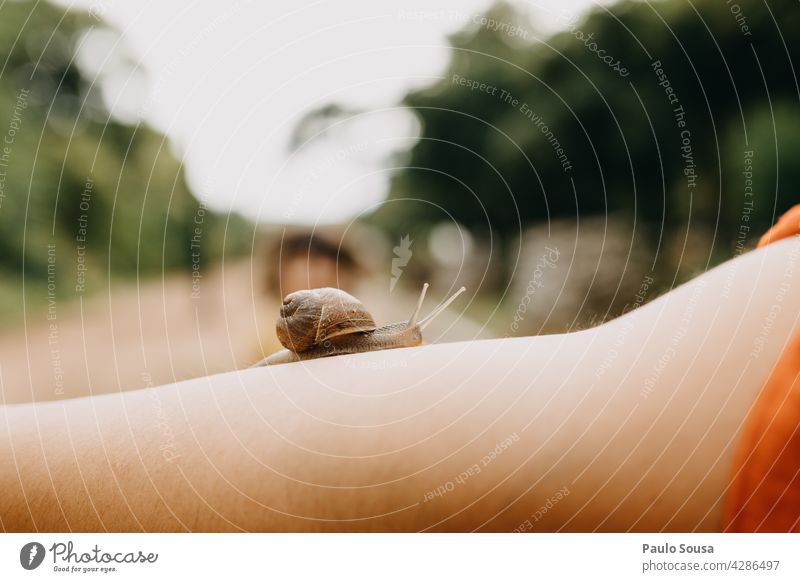 Snail crawling on woman arm Snail shell Arm Mollusk Slimy Exterior shot Close-up Nature Animal Feeler Crawl Slowly Colour photo Smoothness Mucus Garden