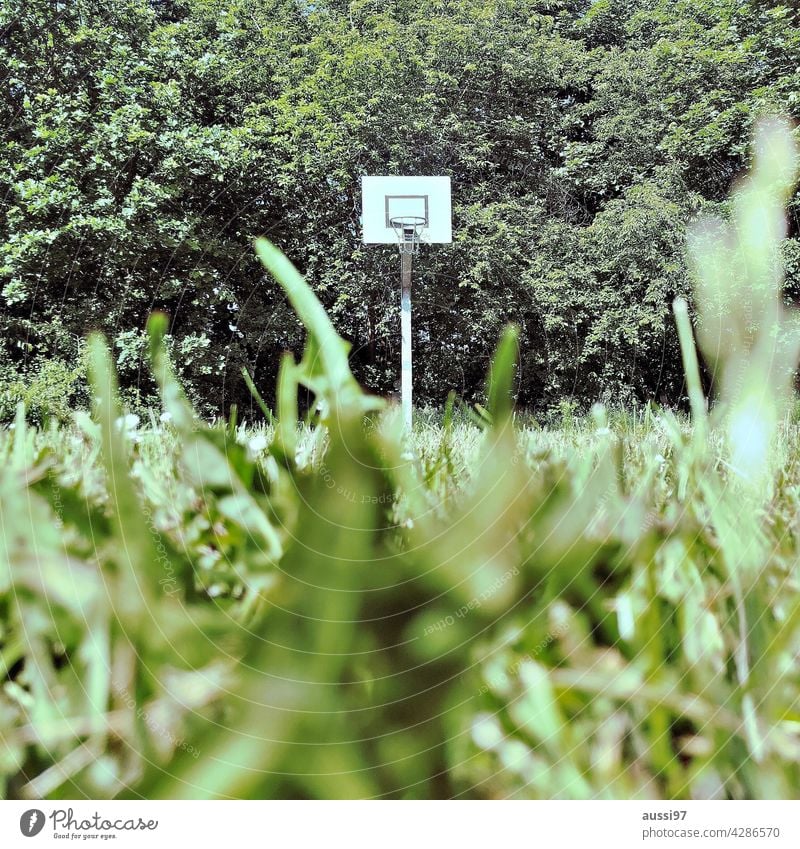 Non-urban court The Jungle Court Basketball Net plants Forest non-urban Green Climate Climate change