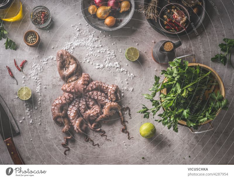 Seafood  cooking . Raw Octopus with natural ingredients: spices, fresh herbs and knife. Cooking preparation on grey concrete background. Healthy and natural lifestyle. Top view