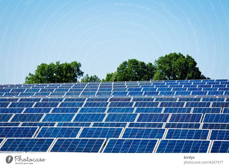 Solar park and trees. Prioritize renewable energy. Solar funding. Large-scale PV plant solar park photovoltaics Solar Energy regenerative energy