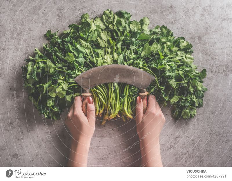 Woman hands holding vintage knife over arranged fresh herbs on dark concrete background. Cooking preparation with healthy ingredients. Food concept. Top view