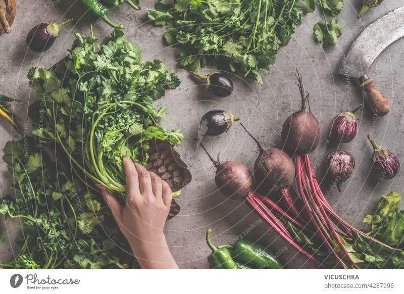 Woman hands holding fresh bundle of  herbs on dark concrete table background with beetroot and kitchen utensils . Cooking preparation, Healthy food concept. Top view