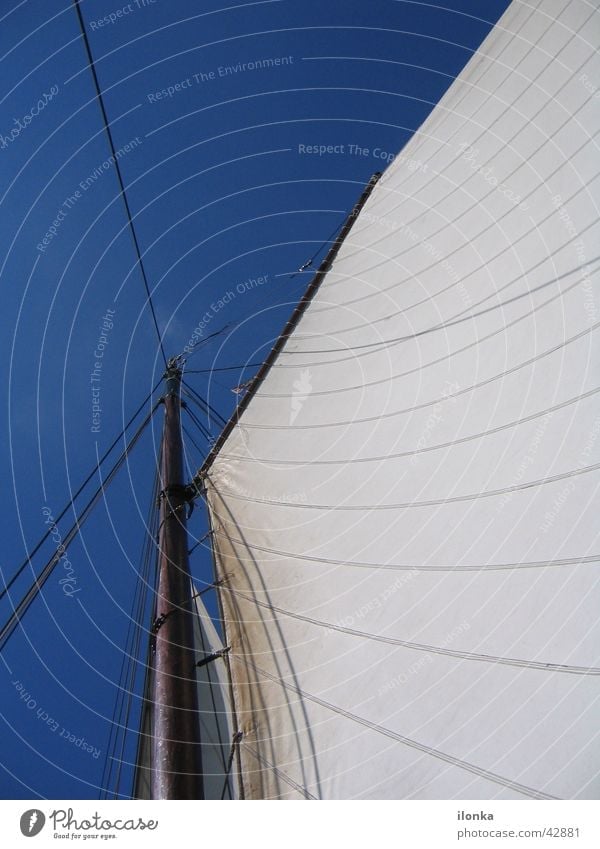 sailing dream Sailing Summer Vacation & Travel Watercraft In transit Ocean Navigation Blue sky Wind Electricity pylon