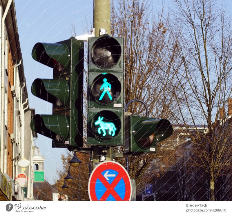 Green donkey traffic light in Wesel Donkey Traffic Light Donkey traffic light green traffic light Traffic light green signal Donkey Lamp traffic light phase