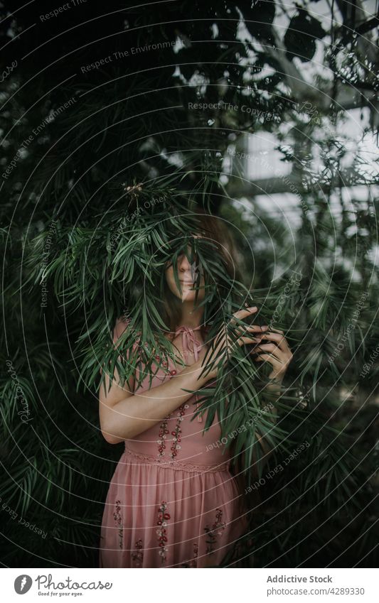 Young woman covering face with branch foliage cover face lush plant vegetate greenhouse hide garden female tree leaf grow hothouse leave botany bush growth twig
