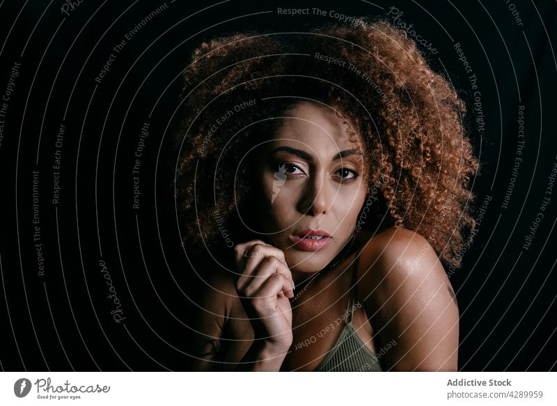Black woman in dark studio model curly hair afro hairstyle appearance charming calm female ethnic black african american feminine confident personality perfect