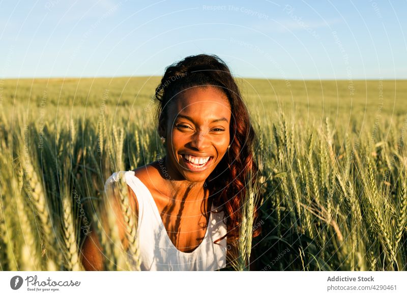 African American female in dress walking on grassy meadow woman wheat field countryside harmony calm alone blue sky flora black african american young lifestyle
