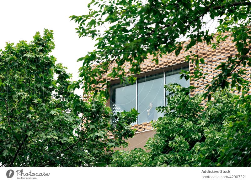 Woman behind window in building near trees woman exterior modern architecture alone foliage house female summer grow plant ornament light green detail element