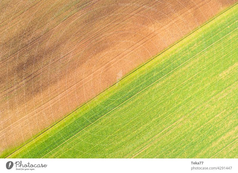 The fields Field Agriculture Farmer Green Earth Field from above Arable land two Border Eating plants Food