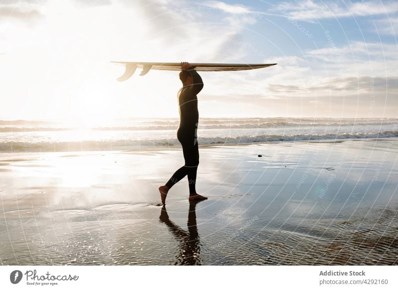 Surfer at the beach carrying surfboard man nature walking sunset wave outdoors wetsuit silhouette seacoast male sportsman surfing hobby surfer ocean seaside