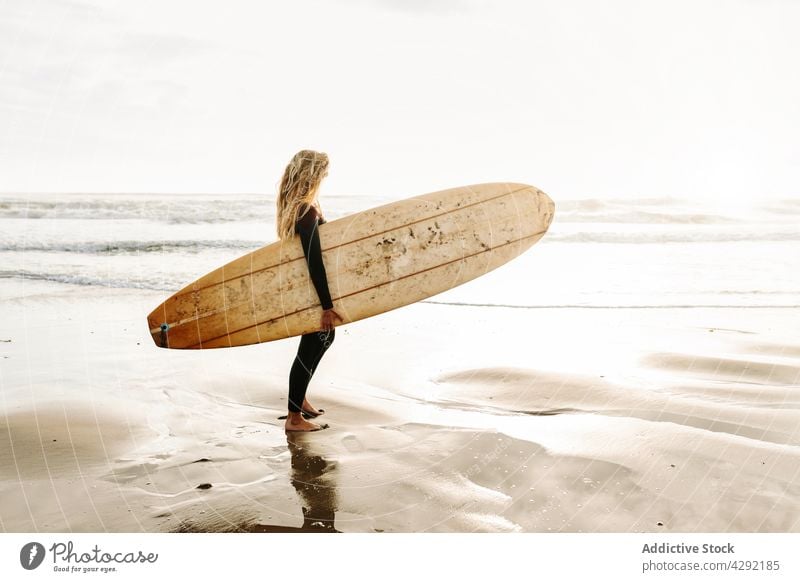 Female surfer standing at the beach with surfboard woman nature sunset wave outdoors wetsuit seacoast female sportswoman surfing hobby ocean seaside calm water