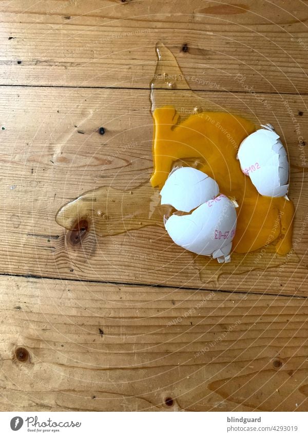 I can't believe I just dropped an egg out of my h... and Broken broken Accident mishap Eggshell Breakage yolk albumen Albumin Yolk Nutrition wooden floor Ground