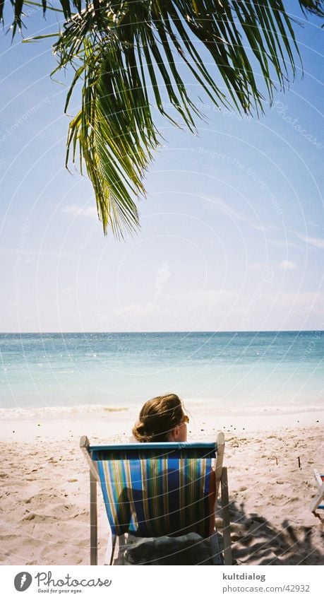 Dreaming. . . Vacation & Travel Relaxation Palm tree Beach Thailand Deckchair Woman Ocean Los Angeles Sun Paradise Marion Sky