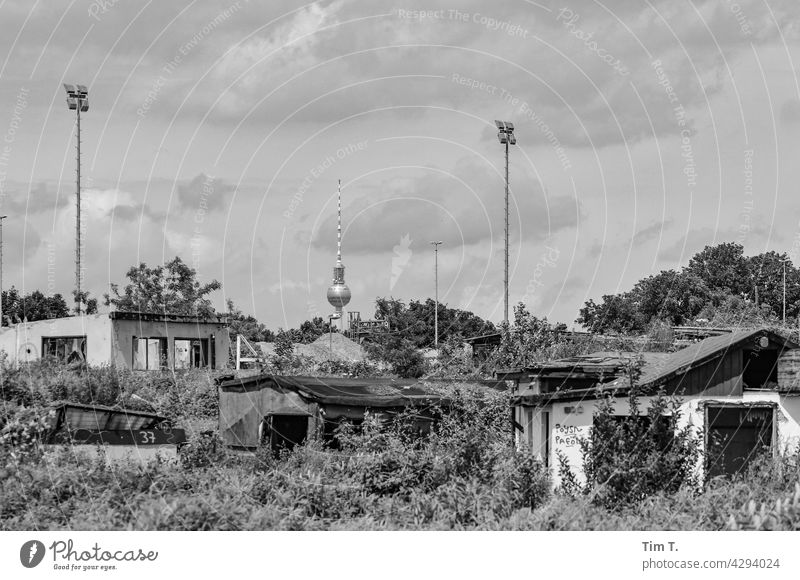a cleared garden in the background the television tower Berlin Neukölln b/w Garden Television tower Black & white photo Architecture Town Exterior shot Deserted