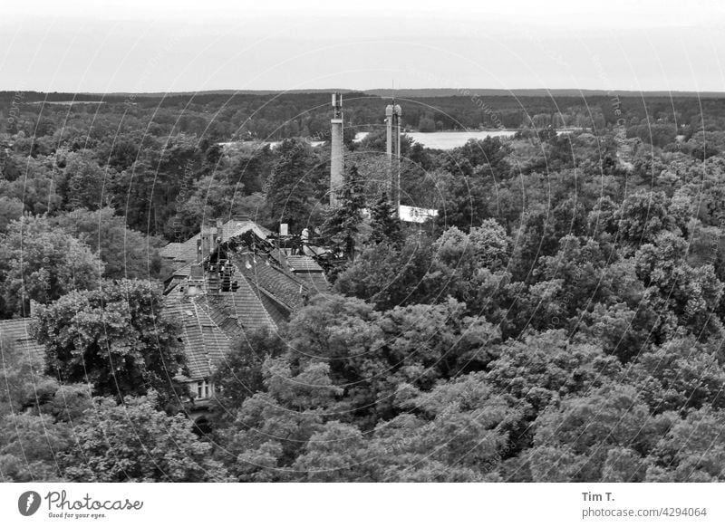 View from a tower to a ruin in the forest Brandenburg b/w Ruin Black & white photo Architecture Exterior shot Deserted Day Building