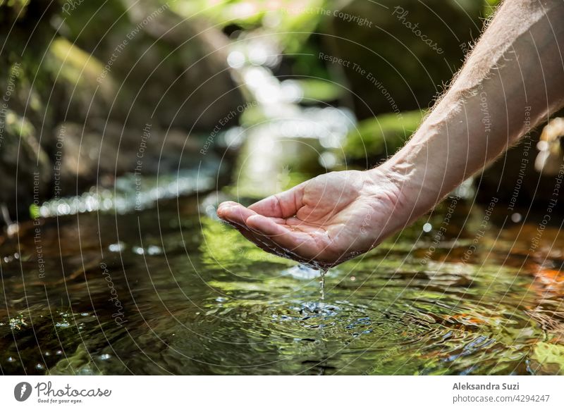 Man taking clear water from a stream in forest. Close-up hand. Nuuksio National Park, Finland. Sunny summer day in forest. Beautiful spring water running in rocks.