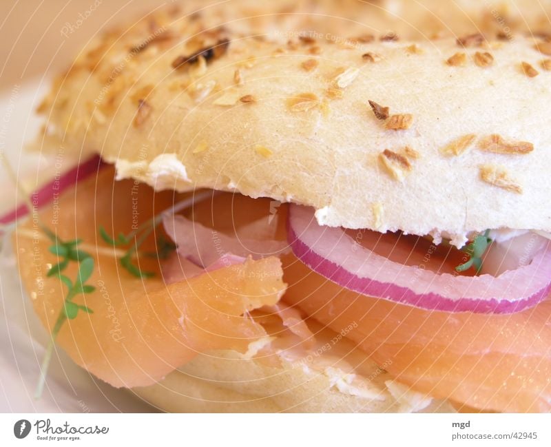 One salmon with onions, please. Salmon Butter Delicious Nutrition Cress Meal Food Healthy Dish Bagel Onion Fish