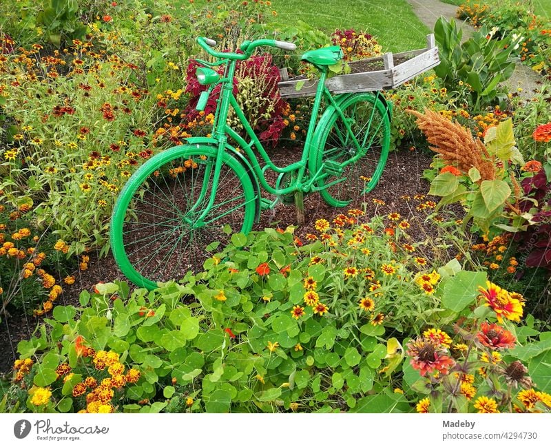 Green painted Holland bike in a flower bed in summer in the Four Seasons Park in Oelde near Warendorf in Westphalia in the Münsterland region of Germany Wheel