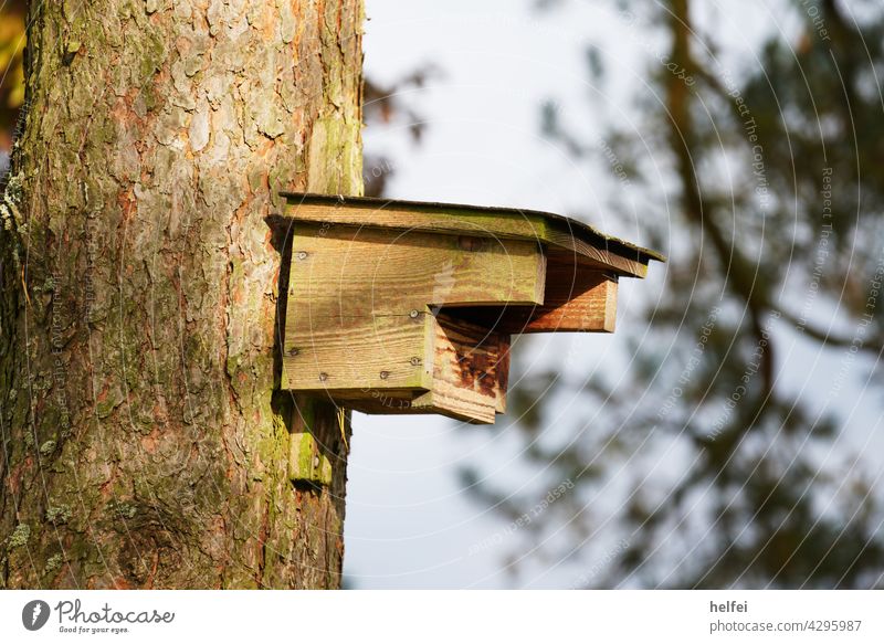 Bird house nailed to a tree as a nesting aid for birds and bats aviary Garden Nature Environment Wild animal Park Branch Tree Spring fever naturally Nest