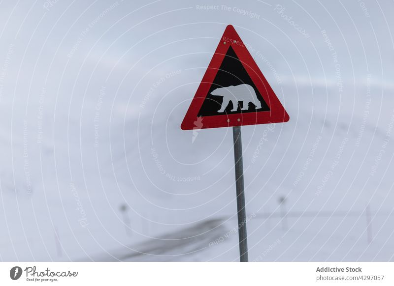 Bear warning road sign in snowy mountains bear winter polar attention caution svalbard norway wild arctic wintertime signpost symbol danger signal roadside