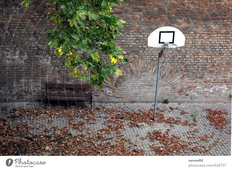 still lifes Sports Basketball basket Bench Ball sports Schoolyard Leaf Places Playground Wall (barrier) Wall (building) Courtyard Stone Metal Relaxation