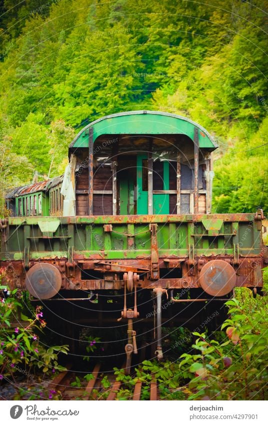 Old rusty railway train stands in the green, decommissioned and parked. Train Railroad Railroad tracks Exterior shot Transport go by train Vacation & Travel