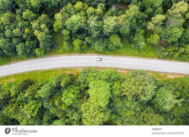 The trip Street Forest vacation Trip Road traffic Green Nature Driving excursion to the green aerial photograph