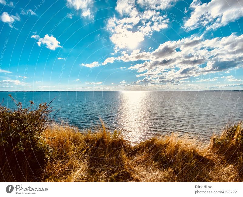 View from a Danish island to the Baltic Sea sea view Ocean Vacation & Travel Tourism coast Landscape Summer Horizon Sky Exterior shot Deserted Water