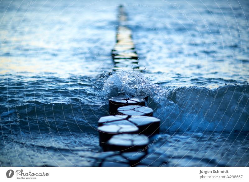 Wave in the blue backlight in the evening at the Baltic Sea Water Waves Ocean Back-light Blue Evening coast groynes vacation free time travel