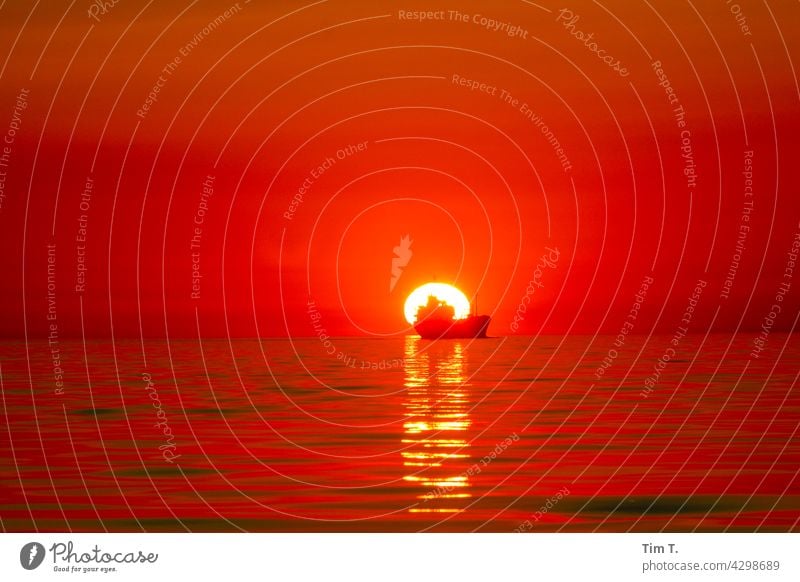a merchant ship sails into the sunset cargo ship Sunset Ocean Lake Sunlight Navigation Water Watercraft Horizon Sky Vacation & Travel Summer Waves Colour photo