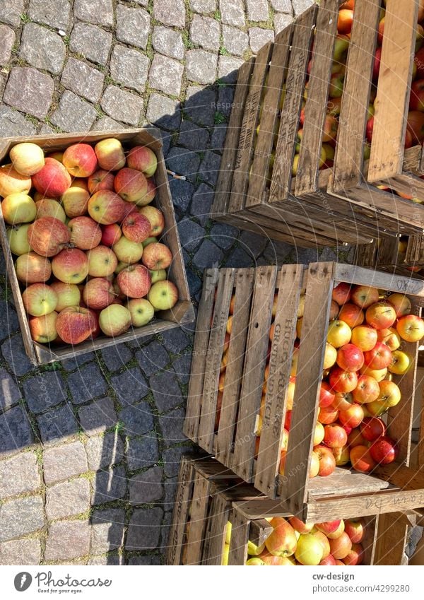green yellow red | Market in Bremen Fairs & Carnivals fresh market fruit Obststiege Apple Apple harvest crate of apples Fruit Food Nutrition Organic produce