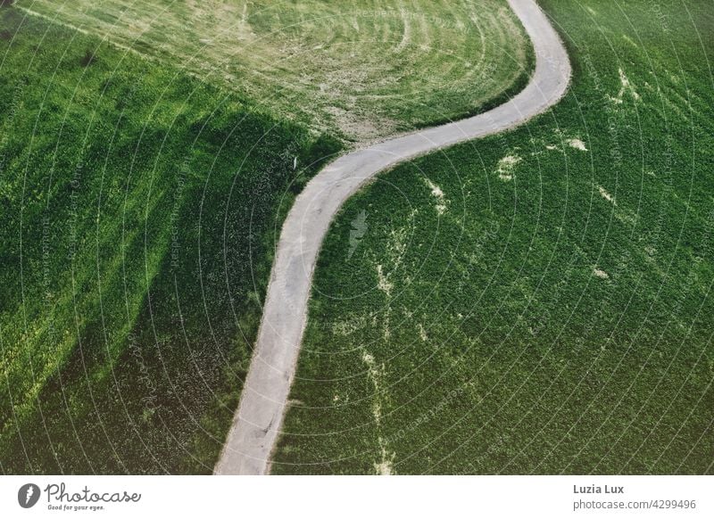 green from above... a farm track winds between fields farm road off the beaten track curvy wriggled meander squirm Windings curves Bend meadows Tracks Green