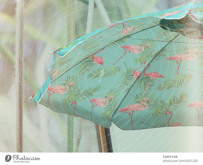 Pink flamingos on turquoise, a parasol and bright light sunshine Sunshade Sunlight Bright pretty pink Flamingos Summer Turquoise Airy Day Light Green