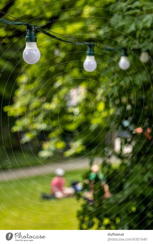 Light bulbs in the garden Garden lighting Electric bulb Green out Park Café Lawn Summer Nature Exterior shot Plant Spring Beautiful weather blurriness Cable