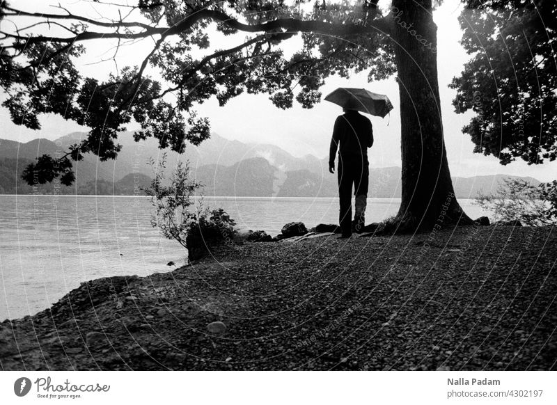Person with umbrella at the lake in the mountains Analog Analogue photo B/W Black & white photo black-and-white Exterior shot Water Tree person Umbrella Lake