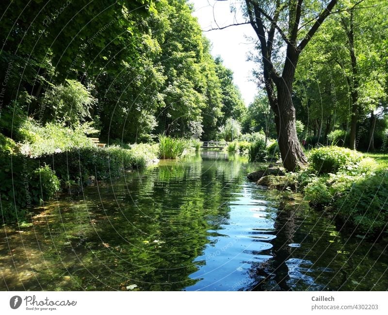 Idyllic pond in a quiet park Pond Park Summer Freedom free time tranquillity harmony Peaceful trees Blue Green wide Weather Exterior shot Colour photo