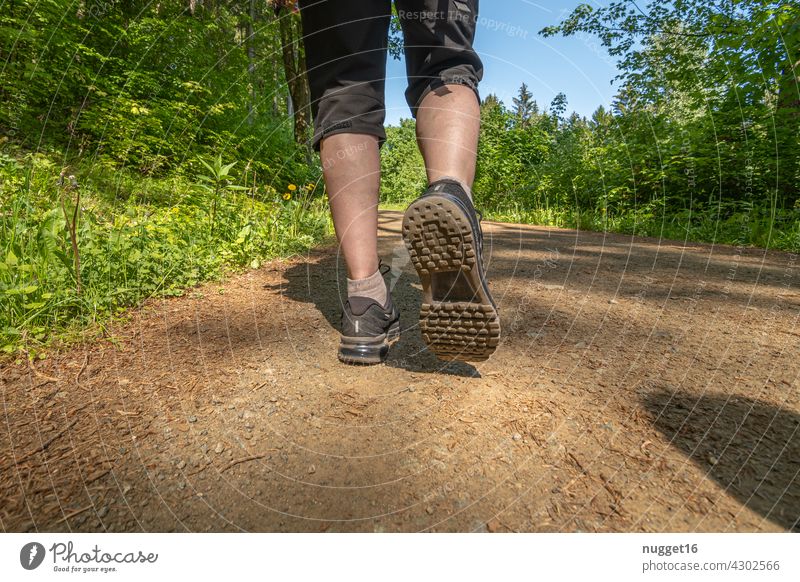 wandering woman on a forest path Hiking travel voyage Nature Landscape Mountain Vacation & Travel Exterior shot Colour photo Tourism Travel photography