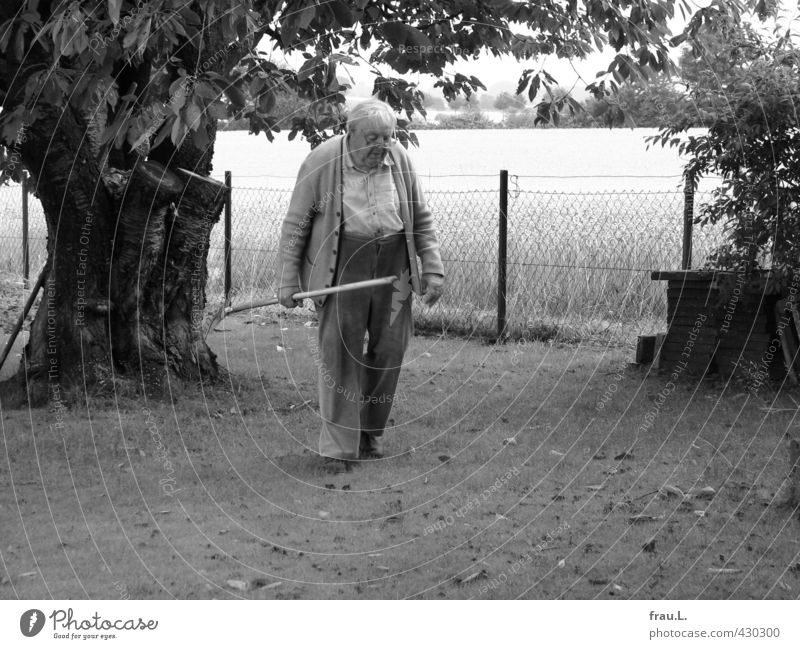 im Garten Masculine Male senior Man Life 1 Human being 60 years and older Senior citizen Summer Tree Garden Workwear Old Work and employment Love Dirty