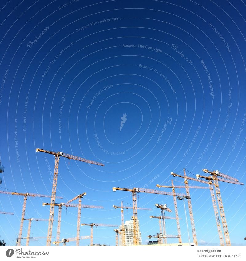 Everybody's looking in one direction. Crane cranes Many Sky Minimalistic Beautiful weather Work and employment Architecture Exterior shot Construction site