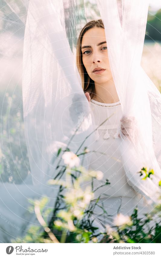 Tender woman in white veil on field nature pure white dress calm charming tender flower summer meadow gentle idyllic countryside serene rural romantic tranquil