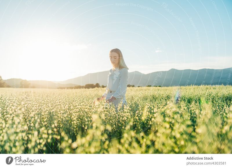 Thoughtful woman in white dress on sunny countryside field grass sunset romantic harmony freedom season tender meadow flower style rest gentle blond environment