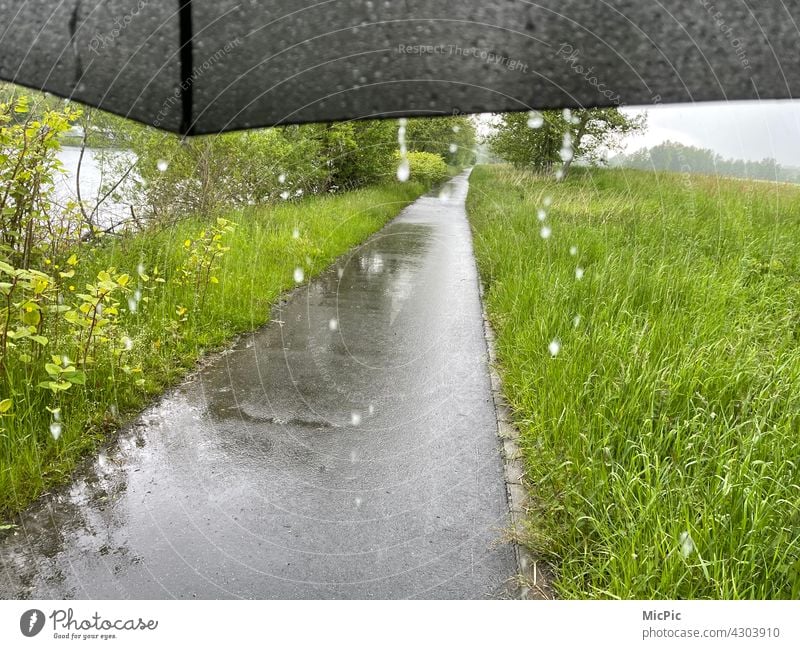 Rain dripping from an umbrella - rainy weather Drop Gray Umbrellas & Shades To go for a walk Rainy weather rich green Meadow Lanes & trails Nature raindrops Wet