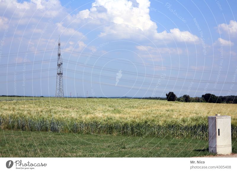 energy field Agriculture Landscape Blue sky Nature Field Rural Meadow Summer Sky Beautiful weather High voltage power line Grain field Clouds Electricity pylon