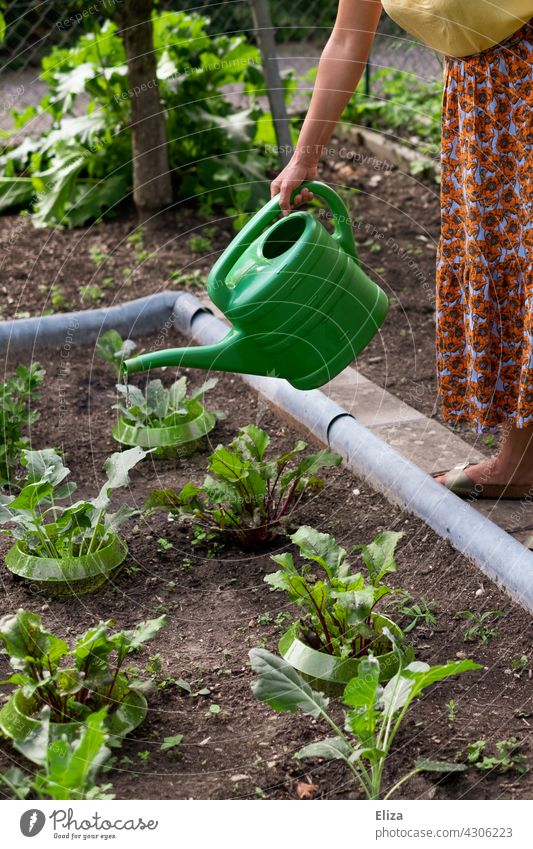 Woman watering plants in a bed with a watering can Garden Gardening Cast Watering can Vegetable gardener Spring Nature Garden plot do gardening plant bed Plant