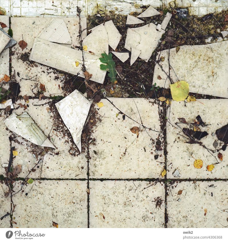 decay Tile floor interstices quad Crossed Colour photo Broken Sharp-edged Old Abstract Decline Structures and shapes lines Deserted Long shot Plant Contrast