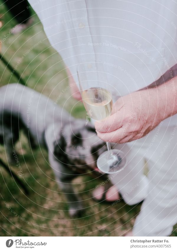 Dog and husband and a glass of champagne in the garden Eating Summer Summer's day culinary arts Culture food culture Summerfest Feasts & Celebrations Birthday