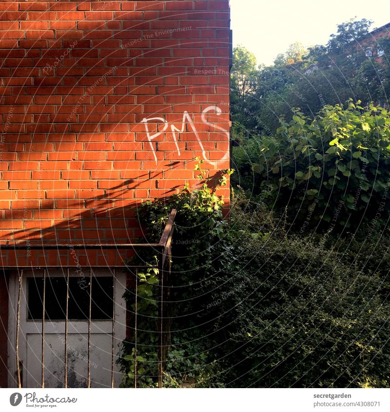 PMS as.... pms Graffiti Wall (building) house wall Facade sunny Wall (barrier) Exterior shot Deserted Building Colour photo Gloomy Architecture Cellar door